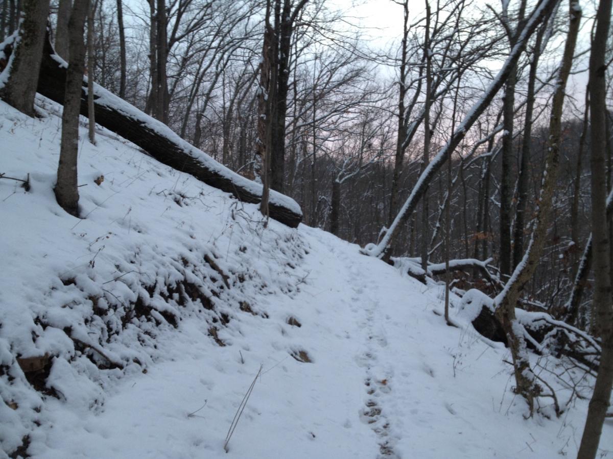A snow-covered path winding through a wooded area, flanked by bare trees. A large fallen log rests on the hillside, with a light dusting of snow highlighting the landscape. The sky shows hints of dawn or dusk. Versailles State Park mountain bike trail.