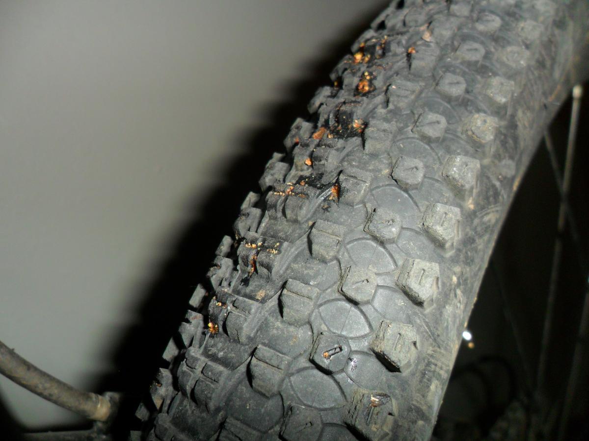 Kenda Small Block Eight: Close-up of a bike tire showing tire tread with some dirt and small debris on its surface. The background is a neutral color, emphasizing the texture and details of the tire.
