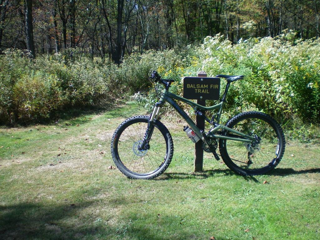 Santa Cruz Nickel: A mountain bike parked beside a sign for the Balsam Fir Trail, surrounded by lush greenery and trees in a natural setting on a sunny day.
