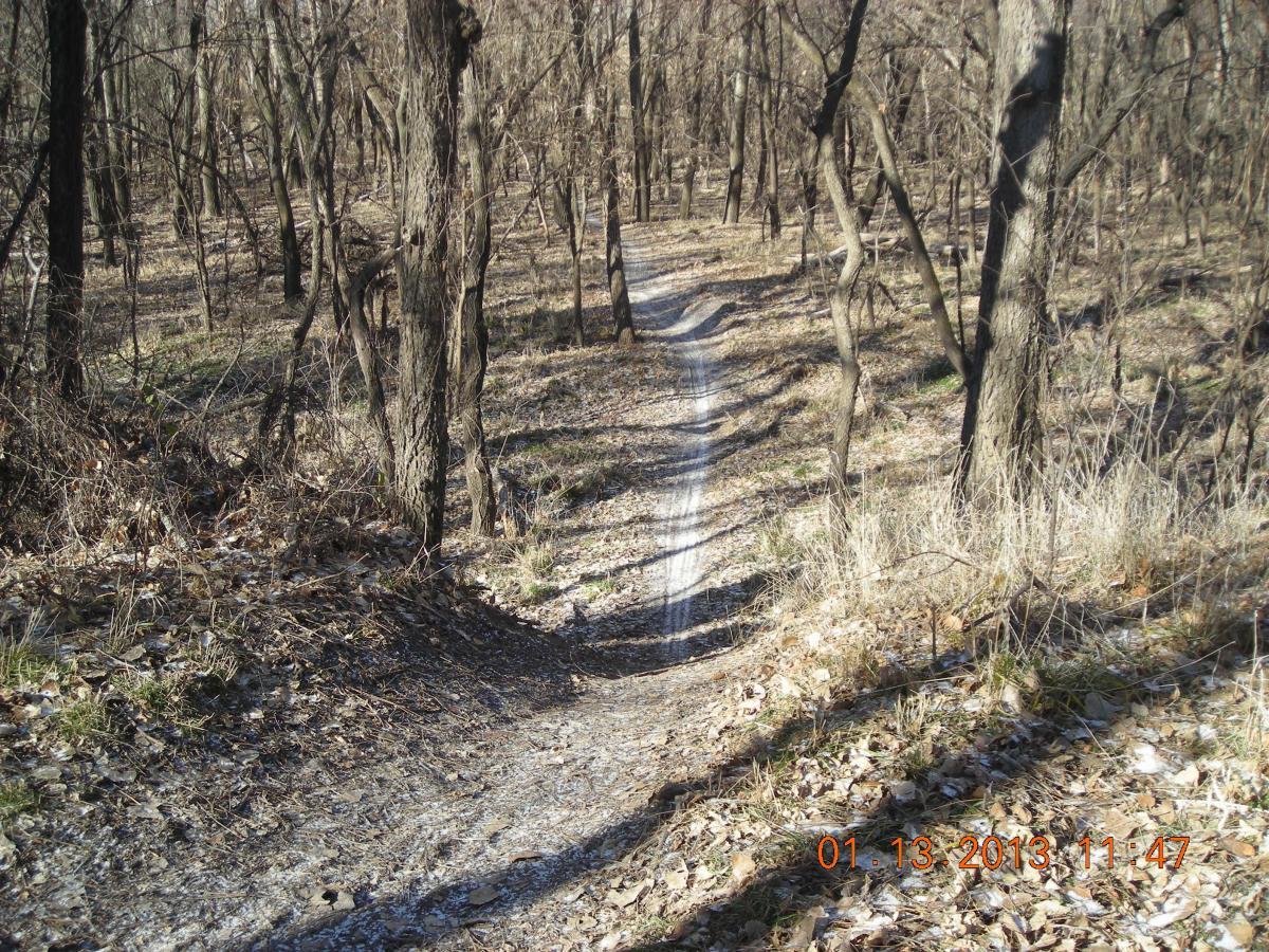 A narrow dirt path winding through a dense, leafless forest in winter. The trail is bordered by sparse grass and fallen leaves, with tall trees standing in the background under a clear sky. ESU Trail mountain bike trail.
