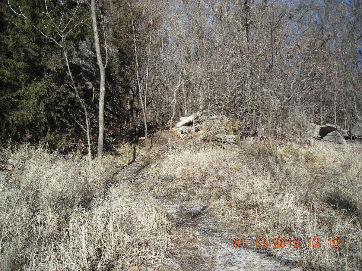 A winding dirt path surrounded by sparse trees and dry grass, leading into a wooded area on a sunny day. ESU Trail mountain bike trail.