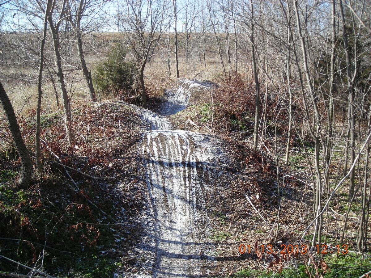 A dirt path winding through a forested area with sparse trees and dry vegetation. The path is marked by tire tracks and surrounded by leaves and underbrush. The image captures the tranquility of nature in a clear, sunny setting. ESU Trail mountain bike trail.