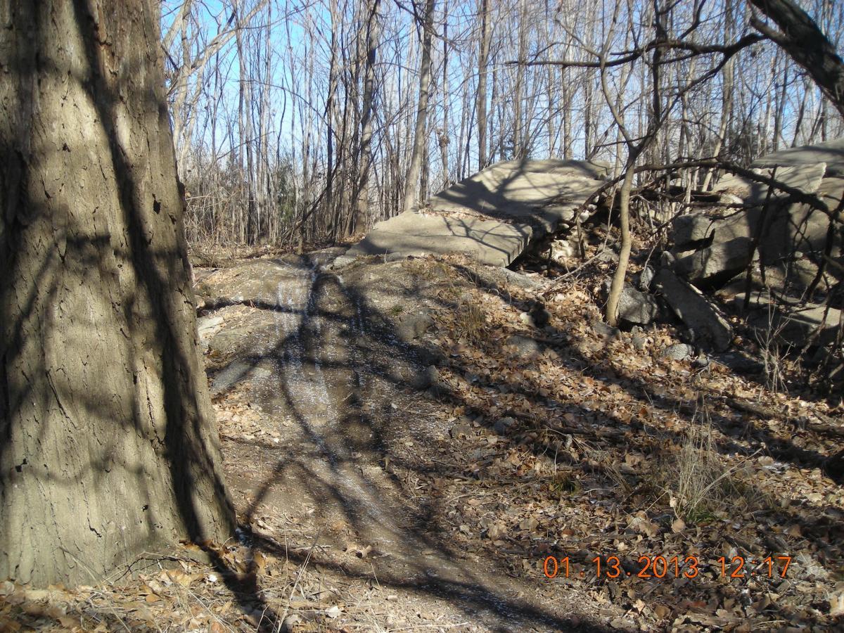 A winding dirt path surrounded by bare trees and scattered dry leaves, with large boulders in the background under a clear blue sky. The texture of the tree bark is visible on the left. Shadows from the trees create patterns on the ground. ESU Trail mountain bike trail.
