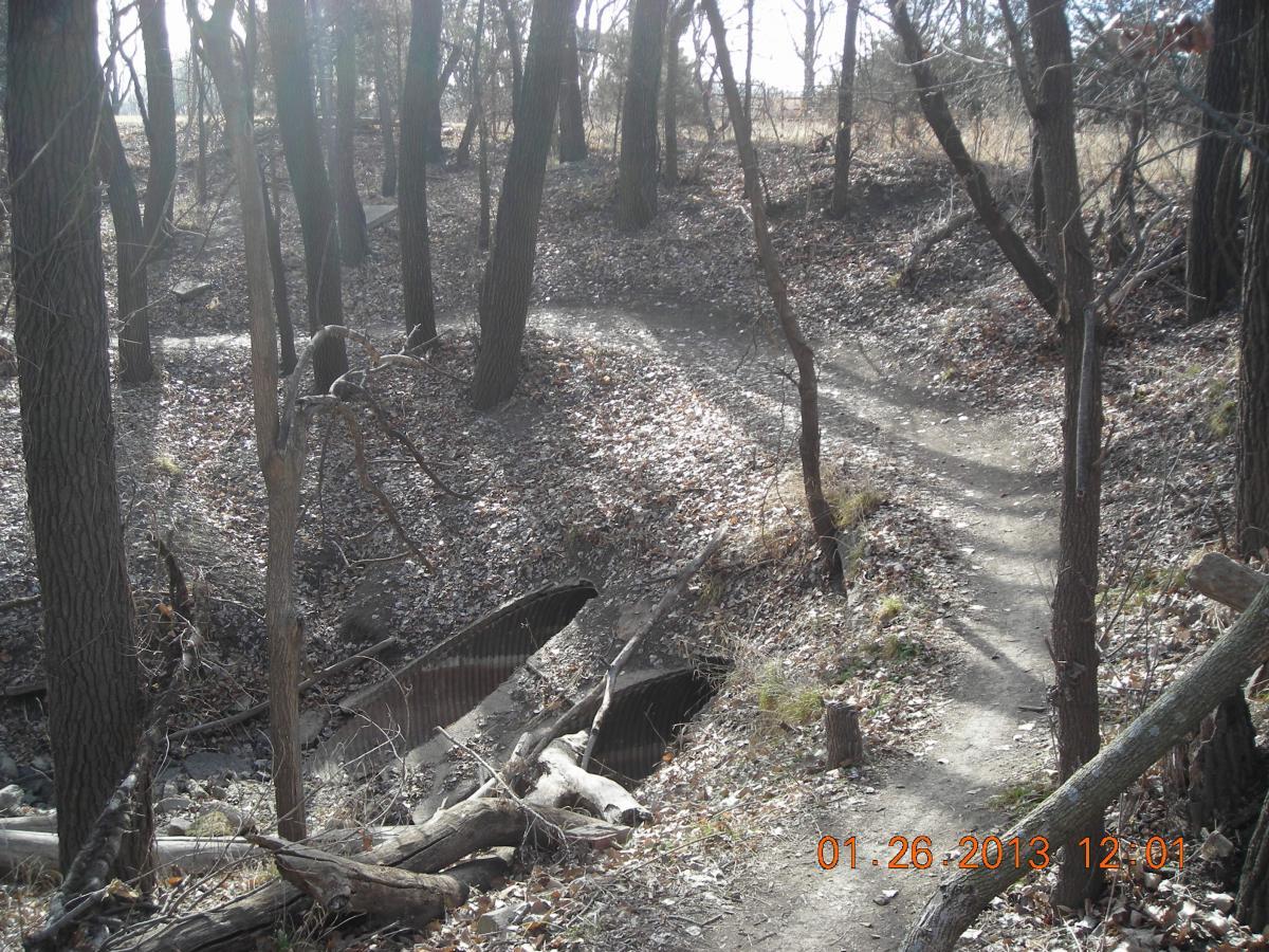 A winding dirt path through a wooded area, surrounded by bare trees and scattered dried leaves. A small creek runs alongside the path, with fallen branches and rocks along the edges. The scene is illuminated by soft sunlight filtering through the tree branches, creating a serene and tranquil atmosphere. ESU Trail mountain bike trail.