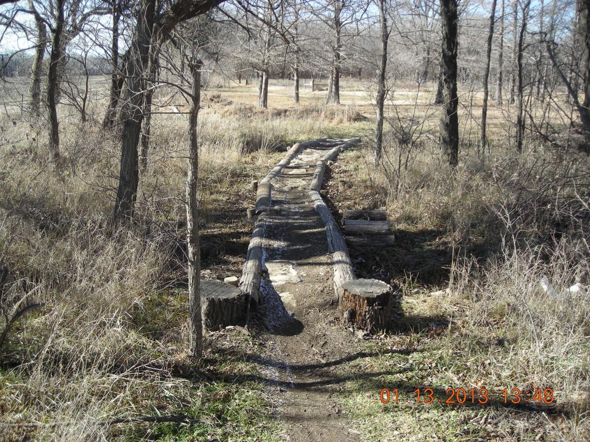 A narrow dirt path winding through a wooded area, lined with logs and tree stumps. The scene features sparse vegetation and bare trees, indicating a winter or late fall setting. The pathway is framed by dry grass and foliage, suggesting a natural, rustic environment. Camp Alexander Trails mountain bike trail.