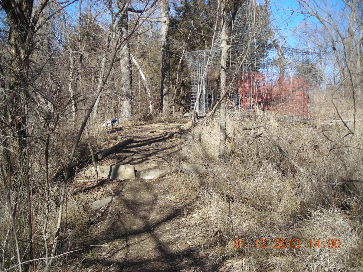 A narrow dirt path winding through a wooded area, surrounded by bare trees and tall grasses. In the background, there are two wire enclosures, one partially obscured by foliage. The sky is clear and blue, indicating a sunny day. Camp Alexander Trails mountain bike trail.