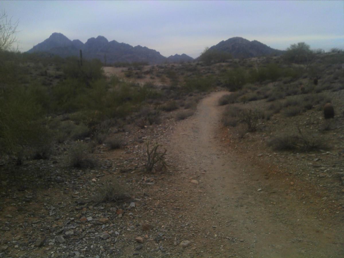 A dirt trail winding through a desert landscape, bordered by sparse shrubs and rocky terrain, with mountains visible in the background under an overcast sky. Trail #100 mountain bike trail.