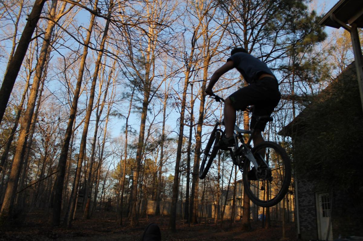 Marin Rift Zone: A person performing a jump on a mountain bike over a small obstacle in a wooded area, with bare trees and a clear blue sky in the background.