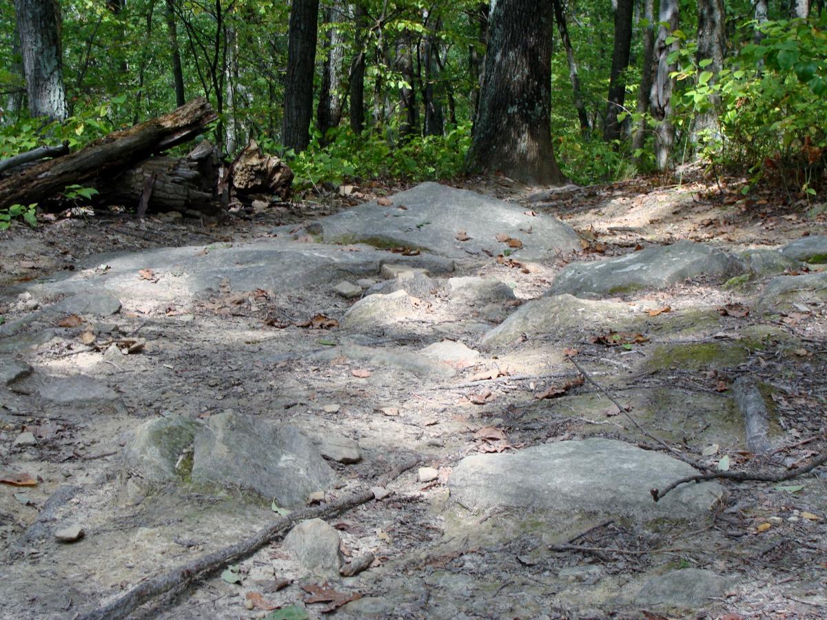 A rocky trail surrounded by trees, with patches of soil and scattered leaves on the ground, indicating a natural forest path. Brown County Park mountain bike trail.