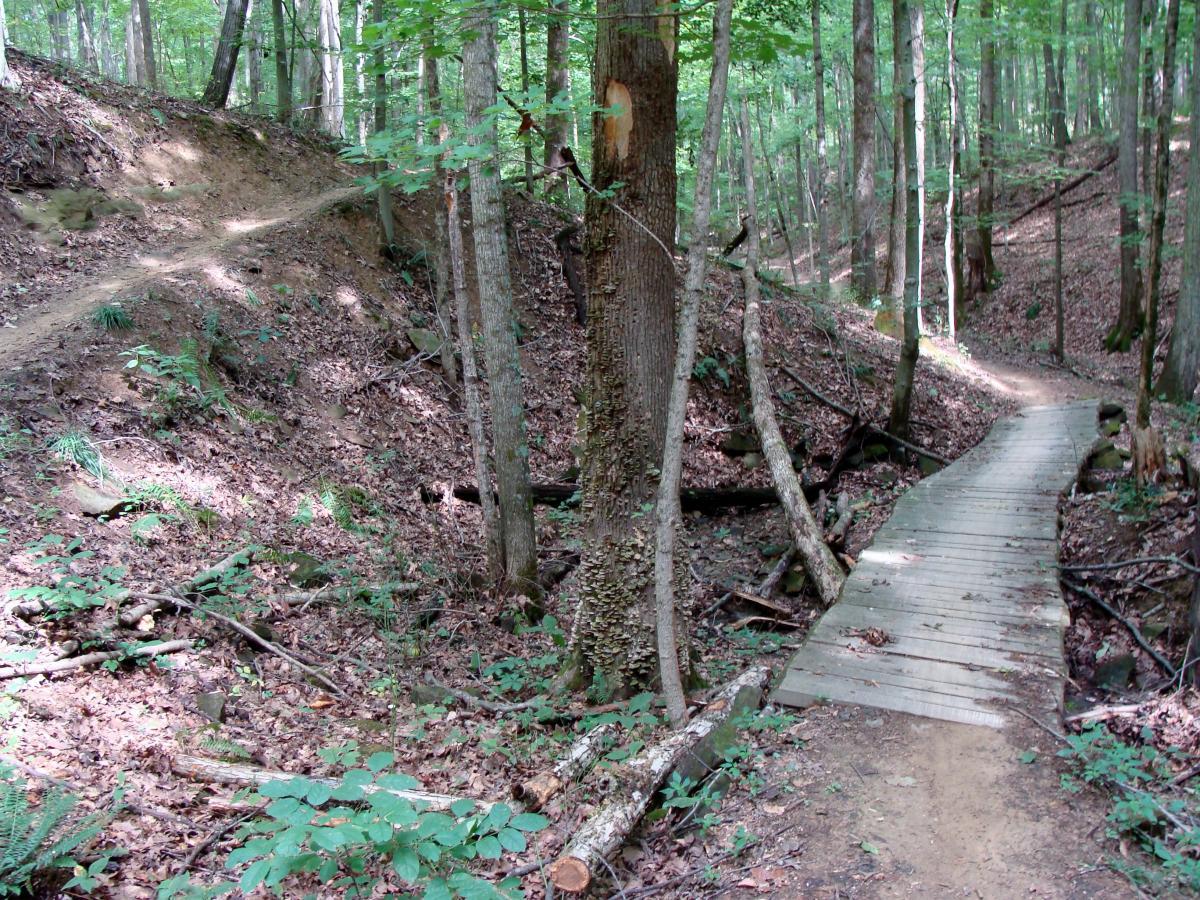 A tranquil forest scene featuring a dirt path leading up a slope on the left side and a wooden bridge crossing over a small ravine on the right. The area is surrounded by lush green trees, undergrowth, and fallen leaves, creating a serene natural environment. Brown County Park mountain bike trail.
