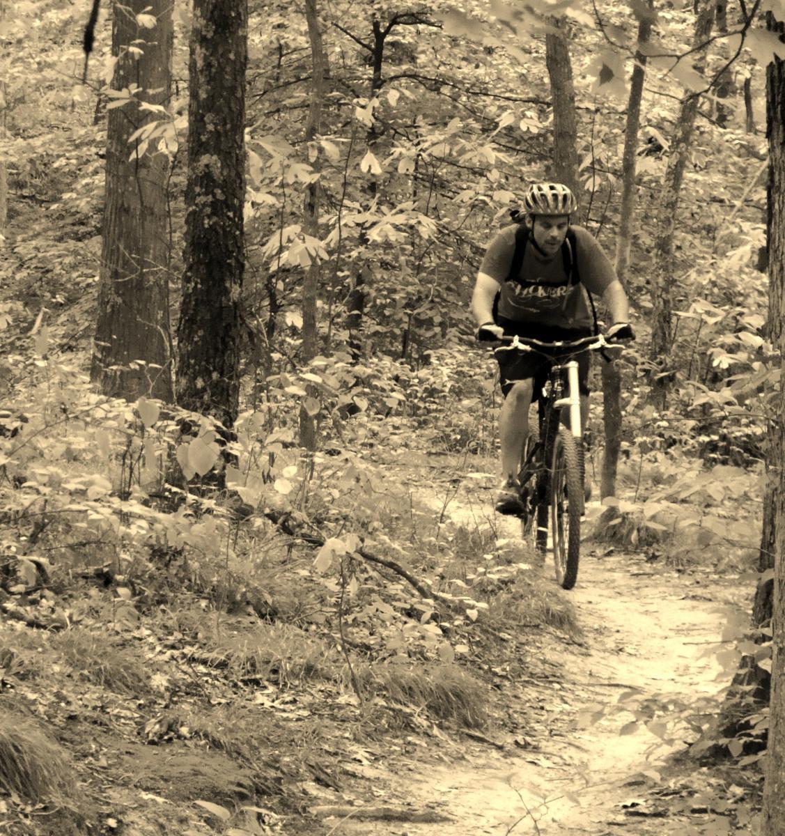A mountain biker navigating a dirt trail in a wooded area, surrounded by trees and foliage, highlighted by a sepia tone. Brown County Park mountain bike trail.