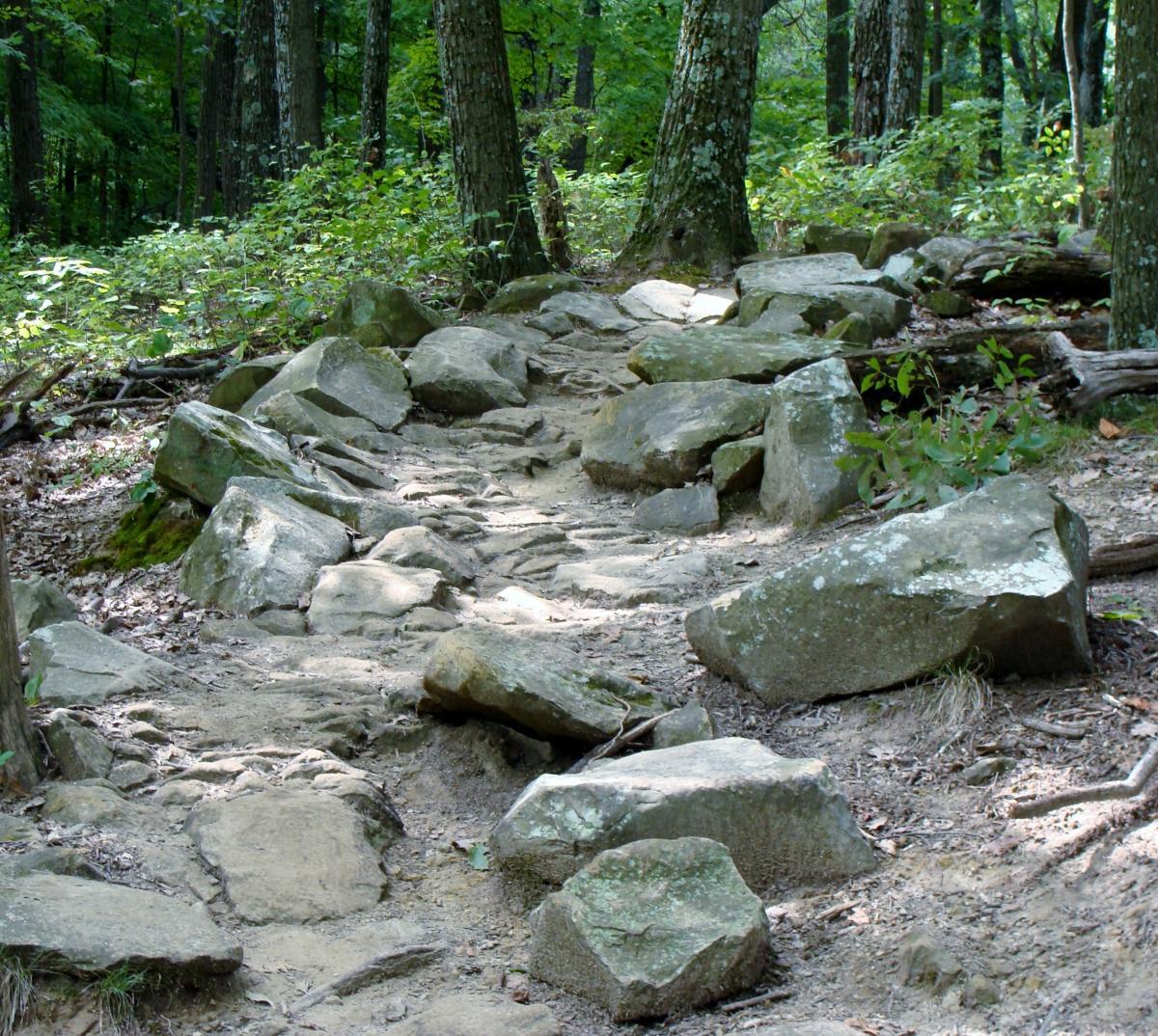 A rocky trail winding through a green forest, lined with large stones and surrounded by trees and foliage. The ground is sandy with some patches of dirt visible between the rocks. Brown County Park mountain bike trail.