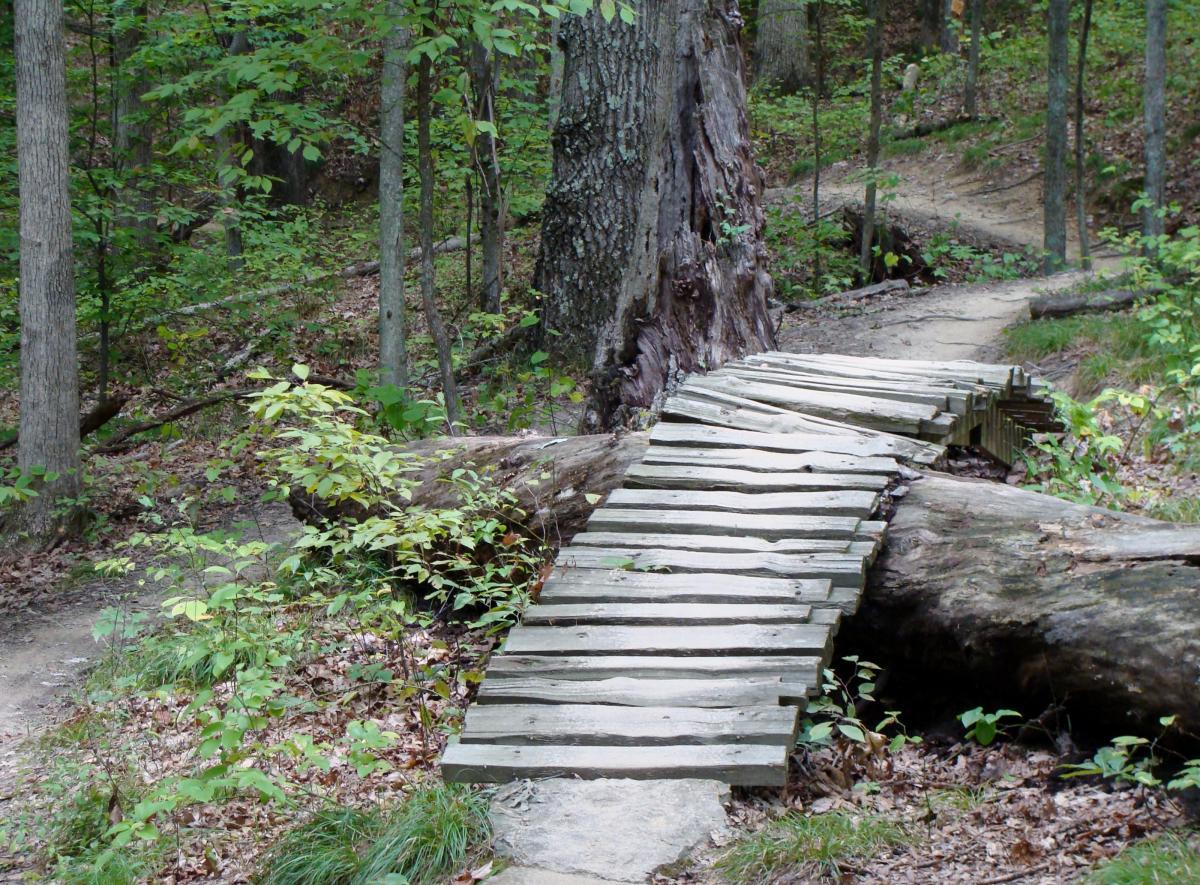 A wooden bridge made of planks spans a fallen log in a lush green forest. The surrounding area features tall trees and dense foliage, creating a serene natural setting. A narrow dirt path can be seen leading away from the bridge, indicating a tranquil hiking trail. Brown County Park mountain bike trail.