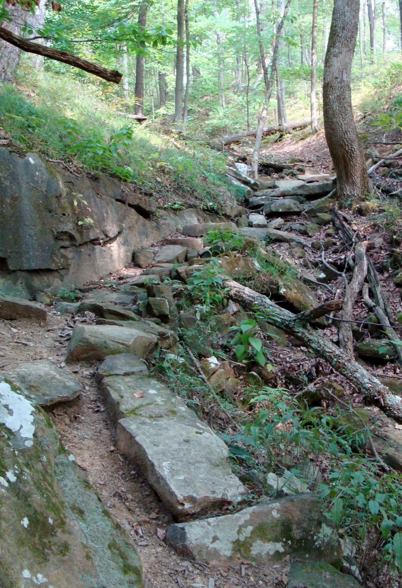 A rocky trail winding through a lush green forest, featuring large stones and patches of dirt surrounded by vegetation. Sunlight filters through the trees, illuminating the path as it slopes upward. Brown County Park mountain bike trail.