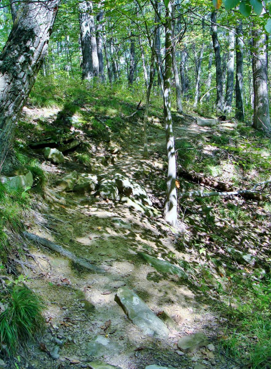 A winding dirt trail surrounded by lush green foliage and tall trees, with sunlight filtering through the leaves and casting shadows on the ground. The path features rocky sections and gentle slopes, suggesting a natural hiking route. Brown County Park mountain bike trail.