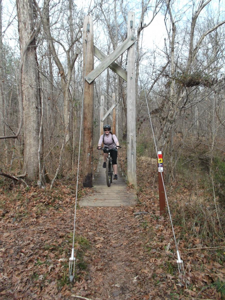 A person riding a mountain bike on a wooden bridge surrounded by trees in a forested area. The bridge is supported by wooden beams and is situated over a path covered with fallen leaves. Anne Springs Close Greenway mountain bike trail.