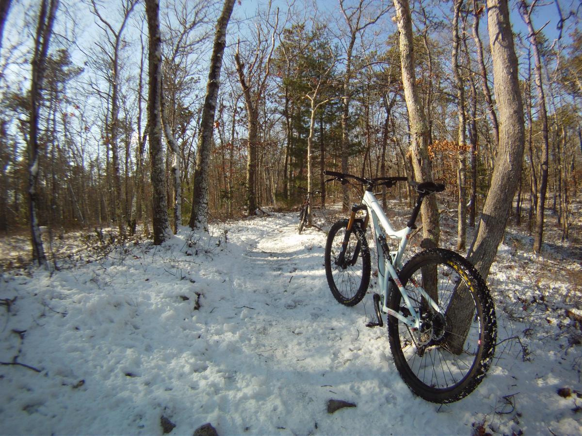 Santa Cruz Tallboy LT: A mountain bike resting on a snowy trail in a wooded area, surrounded by bare trees and patches of green foliage under a clear blue sky. The ground is covered in snow, indicating a winter setting.