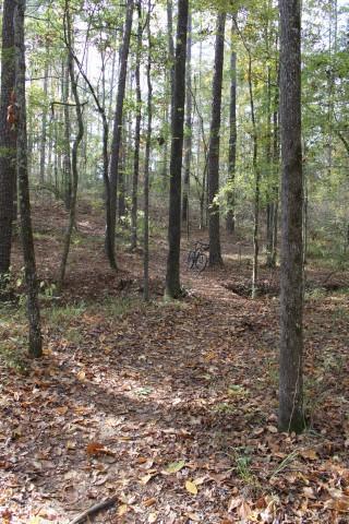A winding dirt path surrounded by tall trees in a forest, with fallen leaves covering the ground. A bicycle is positioned off the trail in the background, partially obscured by the trees. The scene is well-lit with soft, natural light filtering through the foliage. Forks Area Trail System (FATS) mountain bike trail.
