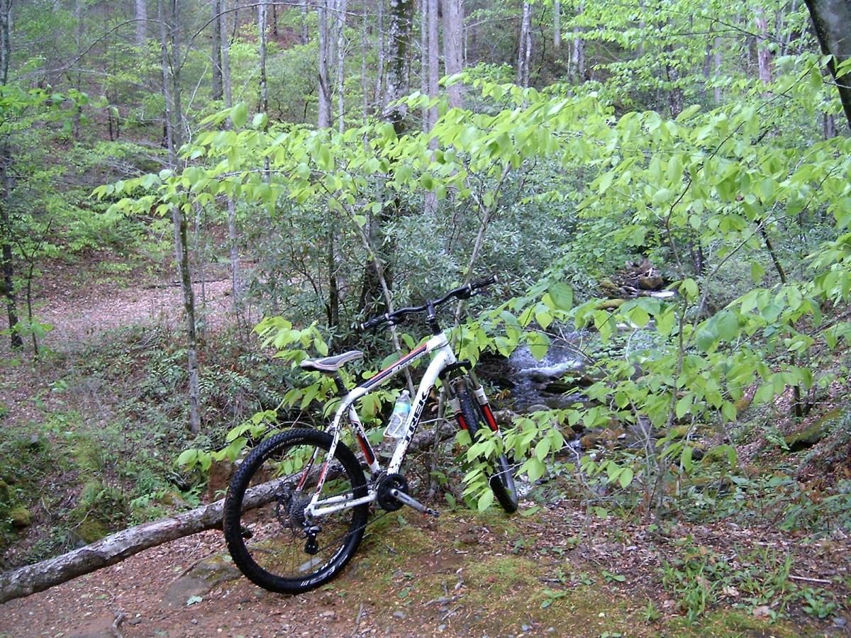 Trek 3700: A mountain bike leaning against a fallen log amidst lush green foliage in a forested area, with a small stream visible in the background.