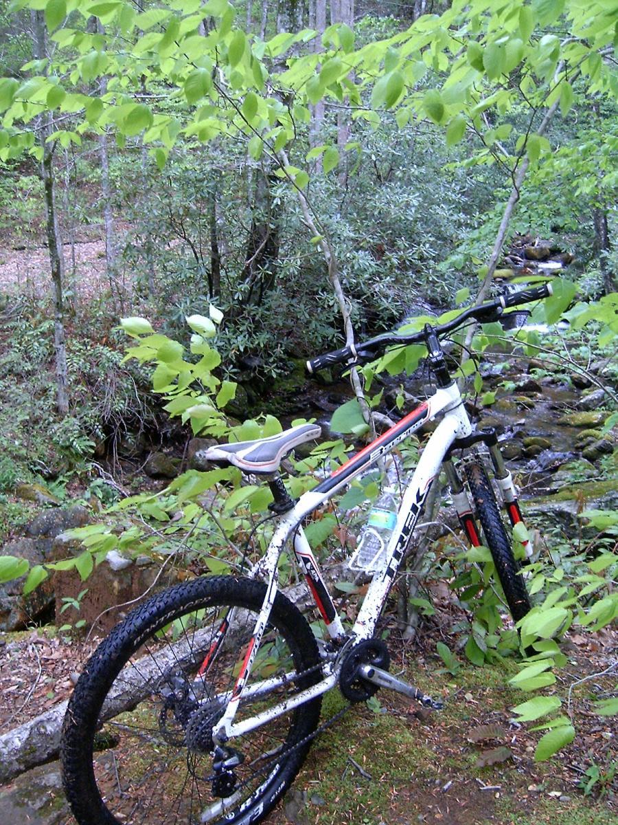 Trek 3500: A mountain bike leaning against a small tree near a creek, surrounded by lush green foliage and forest scenery. The bike is slightly muddy, suggesting recent use on a trail. A plastic water bottle is attached to the bike frame.