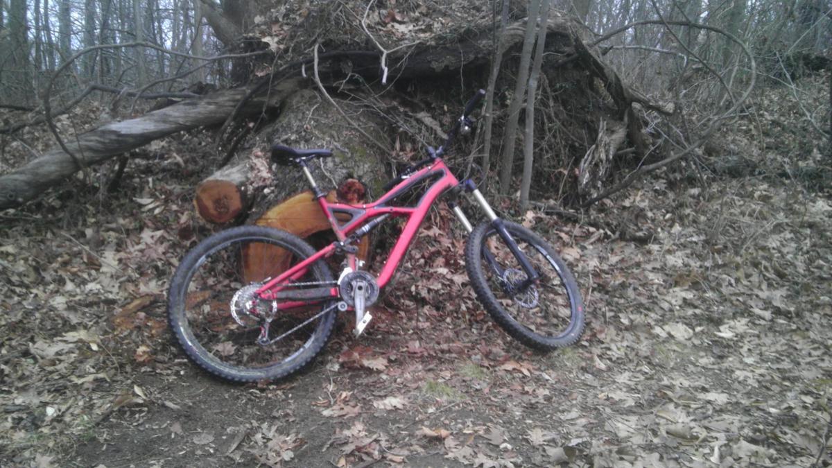 Specialized Enduro SL Expert: A pink mountain bike resting against a large, fallen tree trunk in a wooded area covered with dry leaves.