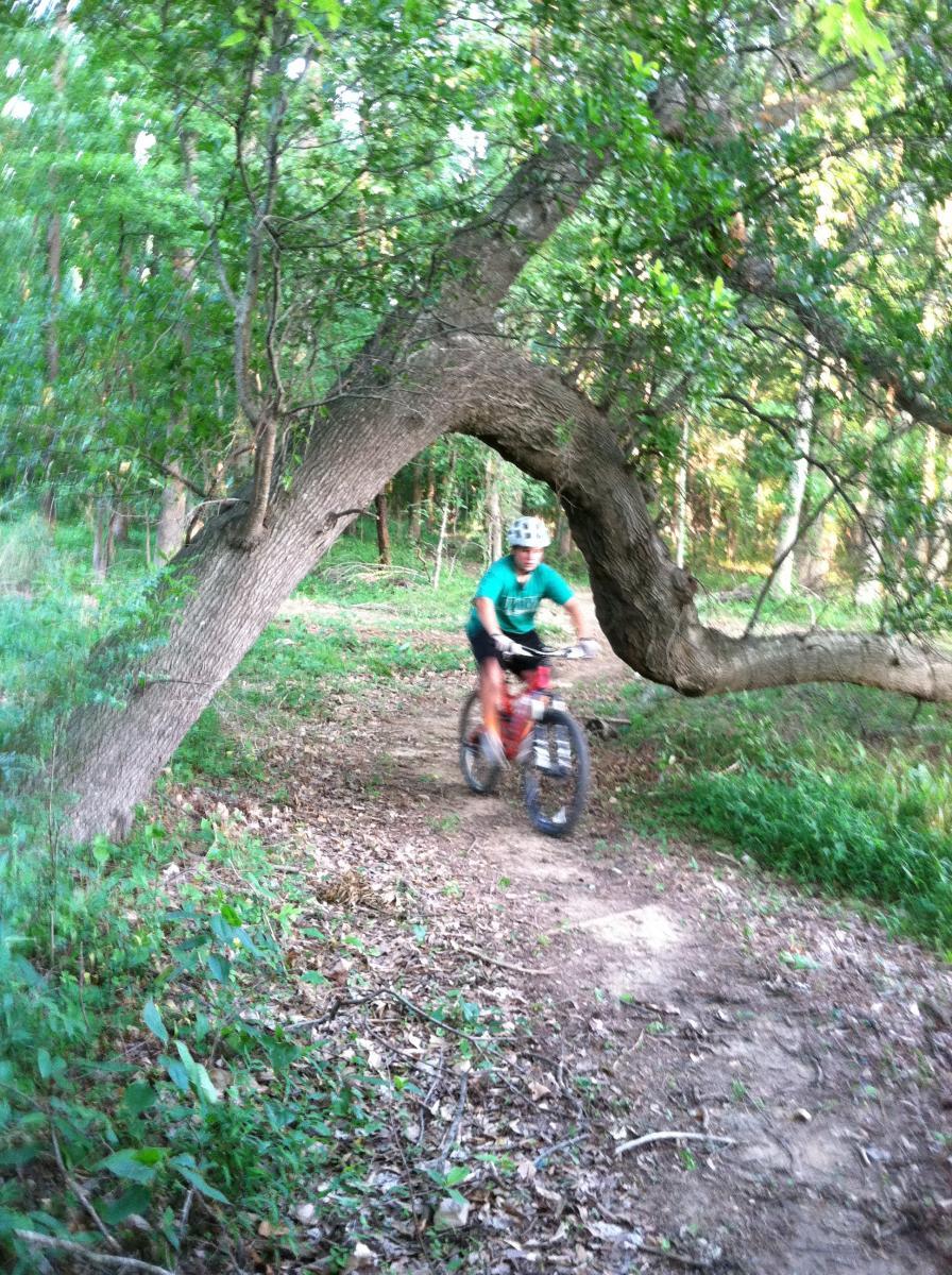 A person riding a mountain bike along a dirt trail in a wooded area, maneuvering under a low-hanging, curved tree branch. The surroundings are lush with greenery, showcasing a natural outdoor setting. Spadra Creek Nature Trail mountain bike trail.
