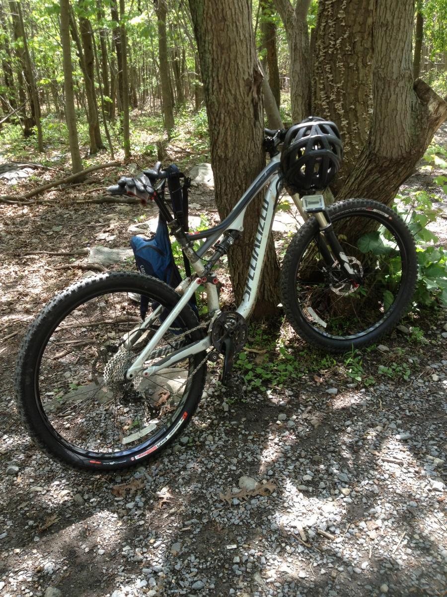 Specialized Stumpjumper FSR: A mountain bike leaning against a tree in a wooded area, with gravel and leaves on the ground. The bike has a helmet attached to the handlebars and a backpack resting on the frame. Lush green foliage surrounds the scene, indicating it's a sunny day.