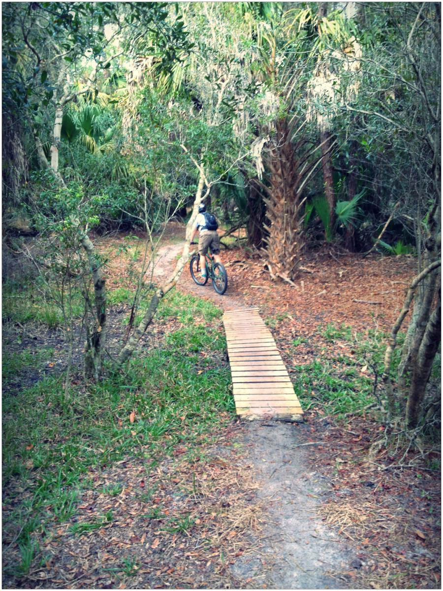 A person riding a mountain bike along a narrow dirt path through a dense forest, featuring tall trees and lush greenery. A wooden plank bridge crosses the path, leading deeper into the wooded area. Grassy Island Trail mountain bike trail.