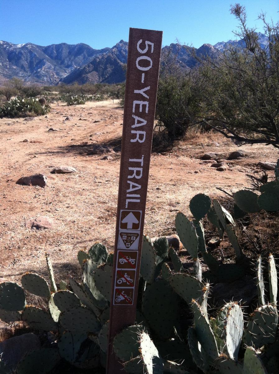 A metal trail sign indicating the "50-Year Trail" surrounded by desert vegetation, including cacti and shrubs, with mountains visible in the background under a clear blue sky. The sign includes symbols for trail usage restrictions, such as no motor vehicles and designated areas for hiking and biking. 50-year Trail / Golder Ranch mountain bike trail.