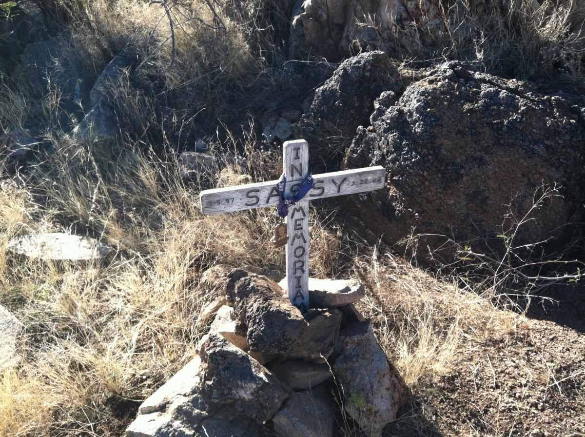 A small wooden cross marked "In Memory" with the name "Sassy" and dates carved into it, resting on a mound of stones in a dry, grassy area surrounded by rocks and sparse vegetation. 24 Hour Course mountain bike trail.