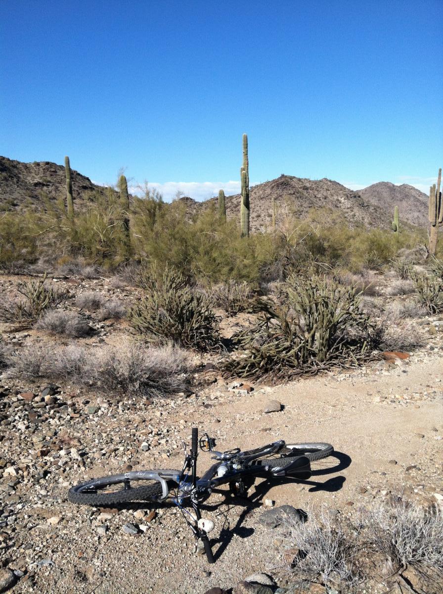 A still image of a mountain bike lying on its side on a dirt path surrounded by rocky terrain and desert vegetation, including tall cacti and sparse shrubs, under a clear blue sky. Estrella Mountain Park mountain bike trail.