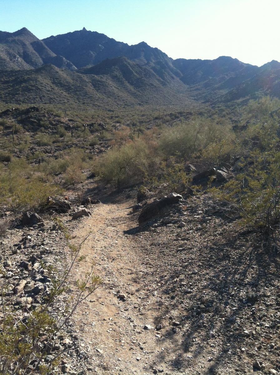 A winding dirt path through a rugged desert landscape, surrounded by rocky terrain and sparse vegetation. In the background, mountains rise under a clear blue sky, indicating a sunny day. The scene conveys a sense of adventure and natural beauty in a remote outdoor setting. Estrella Mountain Park mountain bike trail.