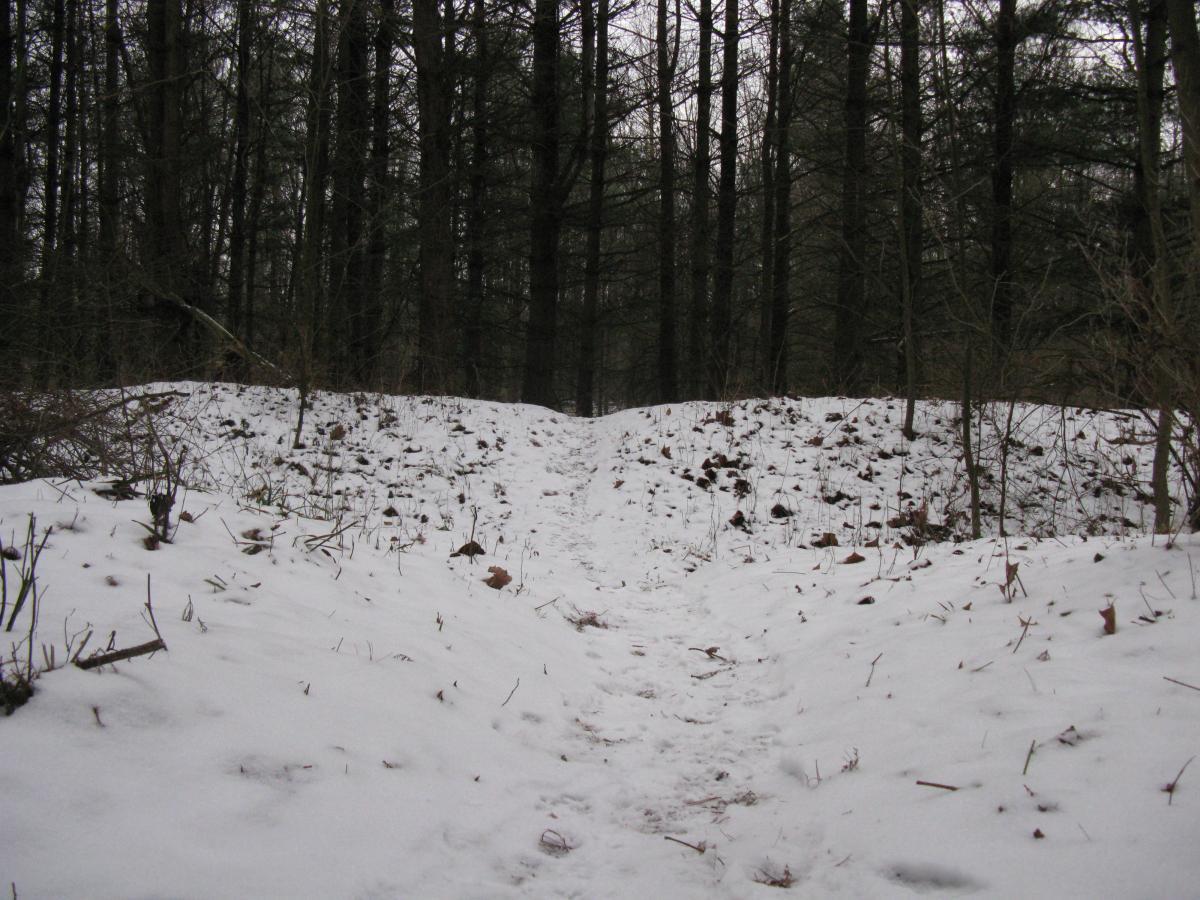 A snow-covered path winding through a dense forest, surrounded by tall trees with bare branches. The ground is mostly blanketed with white snow, and scattered leaves and small plants are visible along the edges of the trail. The scene conveys a quiet, wintry atmosphere. Goshen mountain bike trail.