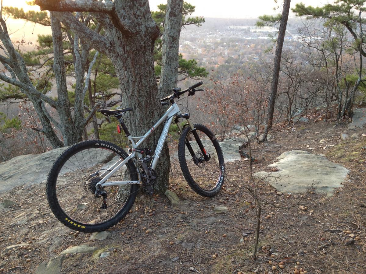 Niner Jet 9: A mountain bike resting against a tree on a rocky outcrop, overlooking a scenic landscape with trees and distant hills during sunset.