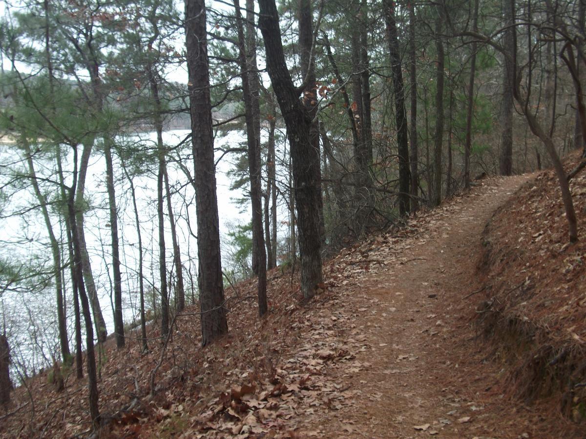 A forest trail winding along the edge of a lake, surrounded by tall trees and scattered fallen leaves. The scene captures a peaceful, wooded area, ideal for hiking and nature walks. Oak Mountain State Park mountain bike trail.
