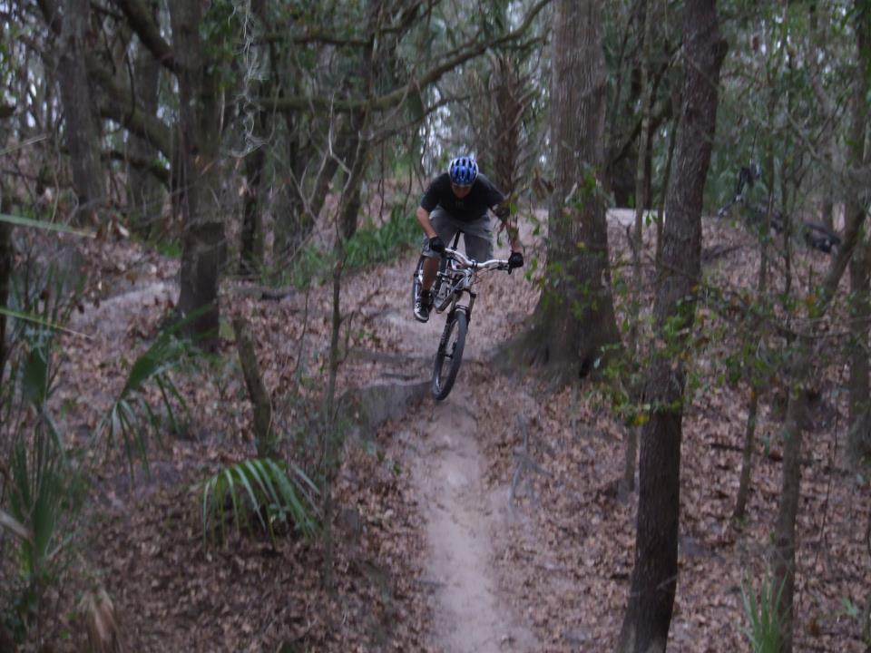A cyclist performing a jump on a mountain bike along a dirt trail in a wooded area, surrounded by trees and dry leaves on the ground. The rider is wearing a blue helmet and is in mid-air, showcasing the dynamic motion of the bike stunt. Alafia River State Park mountain bike trail.