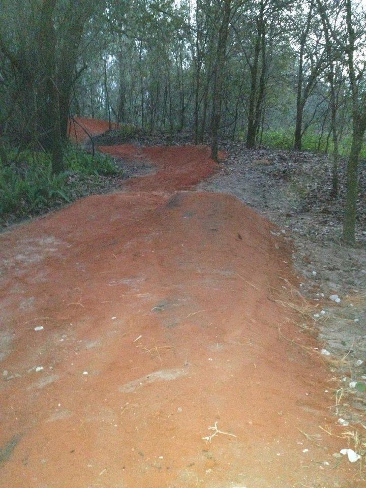 A winding dirt path through a wooded area, featuring reddish-brown soil and surrounded by trees and foliage. The trail appears narrow and is partly covered with fallen leaves and debris. Alafia River State Park mountain bike trail.