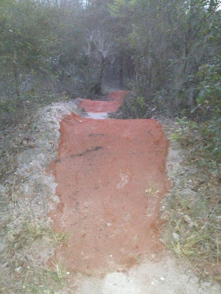 A narrow trail winding through a wooded area, featuring a reddish-brown dirt surface. The path is bordered by greenery, including bushes and sparse grass, and appears to be slightly muddy. The lighting suggests a dim, overcast atmosphere. Alafia River State Park mountain bike trail.