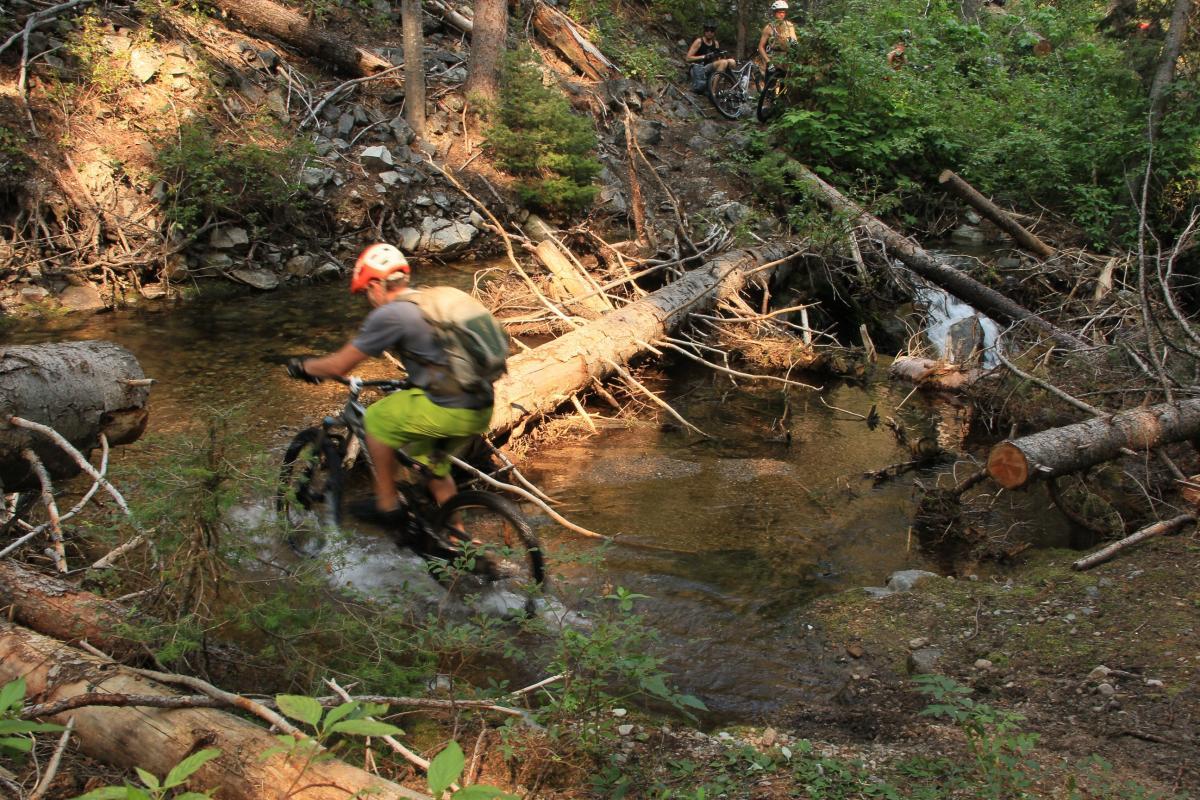 A mountain biker wearing a helmet and bright green shorts rides through a shallow creek, splashing water as he navigates over fallen logs and rocks. In the background, another cyclist is seen pushing their bike along a forest path surrounded by greenery. Sunlight filters through the trees, highlighting the natural woodland setting. Divide To Twin Creek mountain bike trail.