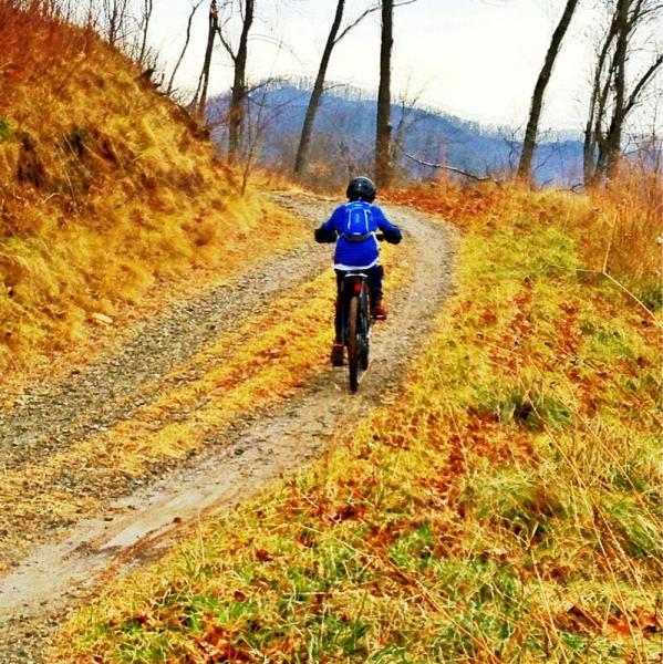 A person riding a mountain bike down a gravel trail surrounded by dry grass and trees, with rolling hills in the background. The cyclist is wearing a blue jacket and a helmet, and the scene appears to be set in a natural outdoor environment during a cloudy day. Bent Creek mountain bike trail.