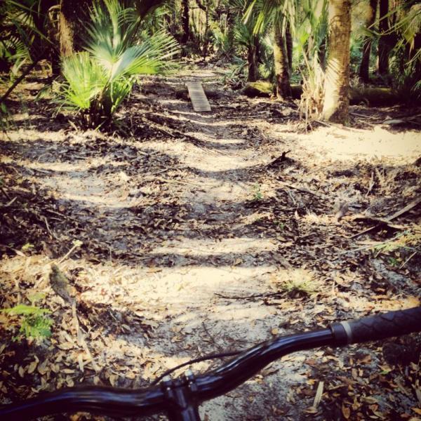 A view of a dirt bike trail through a wooded area, featuring a path covered in leaves and surrounded by greenery. A wooden plank bridge can be seen ahead, leading over a small section of the trail. The image captures the handlebars of a mountain bike in the foreground. Grassy Island Trail mountain bike trail.