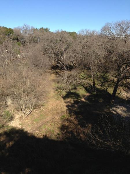 A scenic view of a wooded area featuring bare trees and a dirt path running through the center. The sky is clear and blue, with a hint of sunlight casting shadows on the ground. The landscape appears to be in late fall or winter, showcasing a natural, tranquil environment. Salado Creek mountain bike trail.
