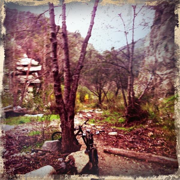 A scenic view of a forested area with trees and rocky soil. A bicycle is parked beside a tree in the foreground, surrounded by foliage and fallen branches. The backdrop features a mountainous landscape shrouded in mist, creating a serene, natural ambiance. Arroyo Seco mountain bike trail.
