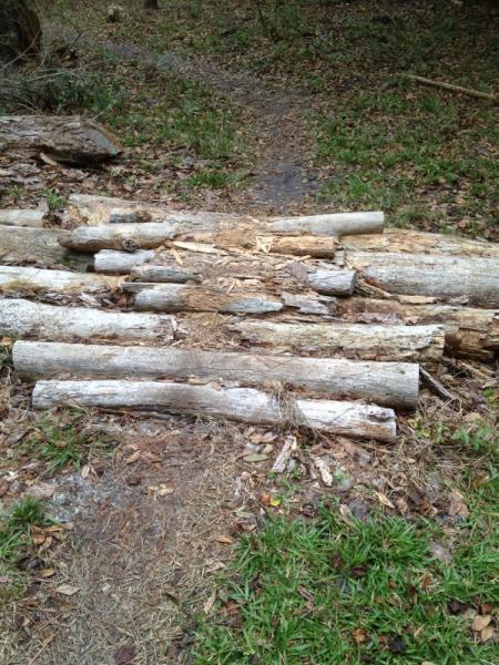 A pile of cut logs resting on the ground in a natural outdoor setting, surrounded by grass and leaves, with a faint dirt pathway visible in the background. Grassy Island Trail mountain bike trail.