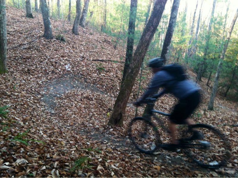 A mountain biker rides through a wooded trail covered in fallen leaves, with trees in the background and a slight incline ahead. The image captures the motion of the rider, highlighting the natural setting. Big South Fork mountain bike trail.