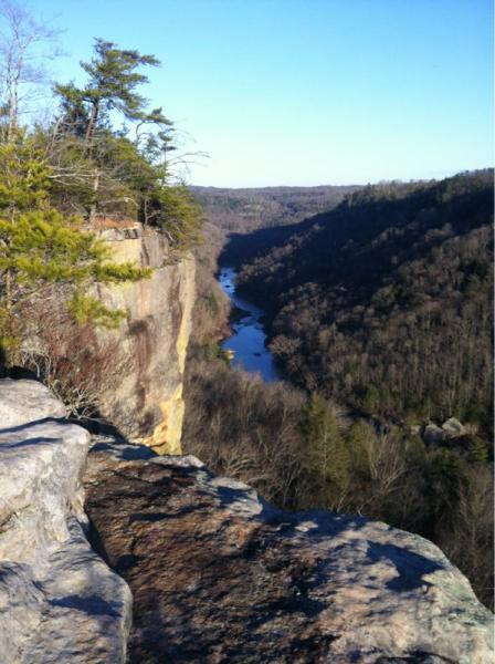 A scenic view from a rocky cliff overlooking a winding river surrounded by lush, green forests and rolling hills under a clear blue sky. Big South Fork mountain bike trail.