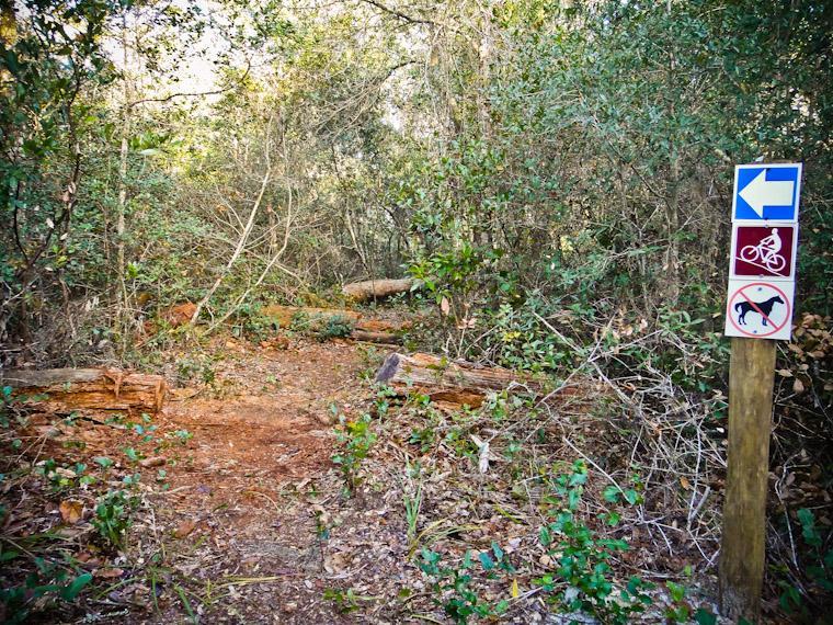 A narrow dirt path surrounded by dense greenery leads into a wooded area. A signpost at the edge of the path indicates directions for bicycles and warns against dogs on the trail. Fallen logs are visible along the path, adding a natural element to the scene. Moses Creek mountain bike trail.