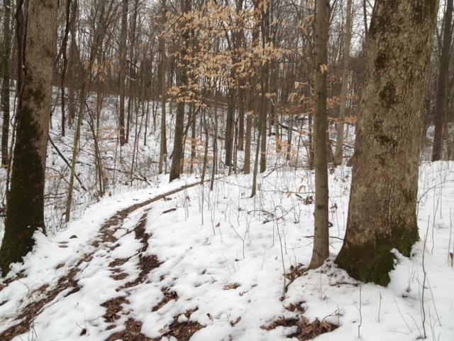 A winding dirt path covered in snow meanders through a winter forest, flanked by tall trees with sparse branches. Some remaining leaves cling to the trees, contrasting against the snowy ground and bare branches. The scene showcases a tranquil, wintry landscape. Versailles State Park mountain bike trail.