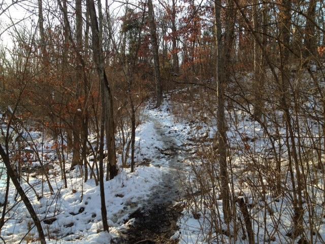 A narrow trail winding through a snowy landscape, surrounded by bare trees and scattered patches of remaining autumn leaves. The sunlight filters through the branches, creating a serene, wintery atmosphere. Keehner Park mountain bike trail.