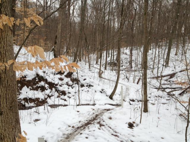 A winter forest scene featuring bare trees with a light dusting of snow on the ground. A winding dirt path leads through the landscape, while some leaves cling to a nearby tree branch. Versailles State Park mountain bike trail.